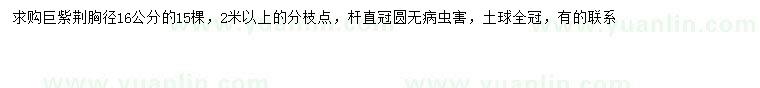 求購胸徑16公分巨紫荊