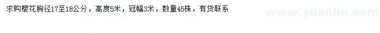 求購胸徑17-18公分櫻花