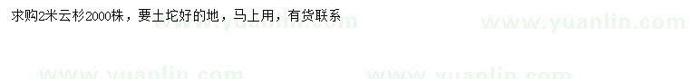 求購2米云杉