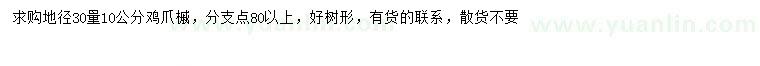 求購30量10公分雞爪槭