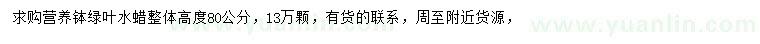 求購(gòu)高80公分綠葉水蠟