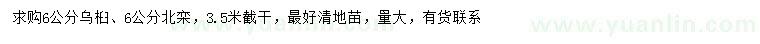 求購6公分烏桕、北欒