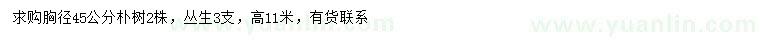 求購胸徑45公分叢生樸樹(shù)