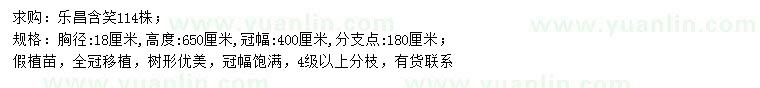 求購胸徑18公分樂昌含笑