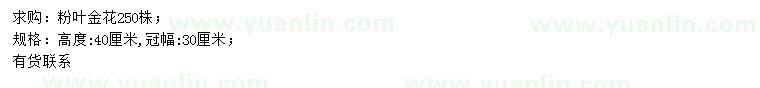 求購(gòu)高40公分粉葉金花