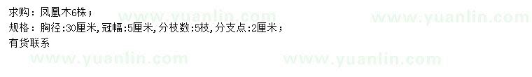求購胸徑30公分?zhù)P凰木
