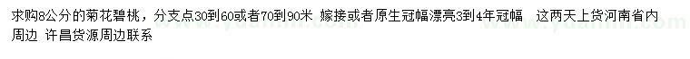 求購8公分菊花碧桃