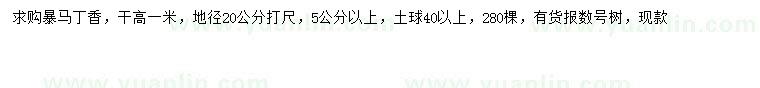 求購20量5公分以上暴馬丁香