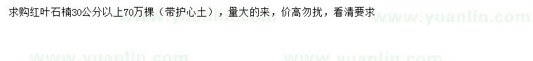 求購30公分以上紅葉石楠