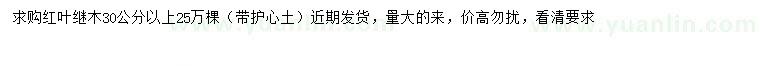 求購30公分以上紅葉繼木