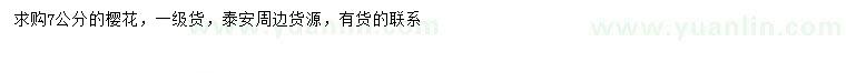 求購7公分櫻花