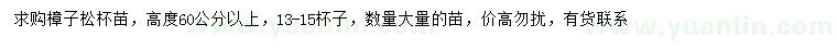 求購高60公分以上樟子松