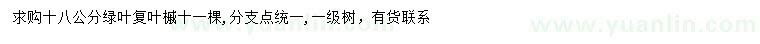 求購18公分綠葉復葉槭
