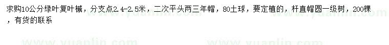 求購(gòu)10公分綠葉復(fù)葉槭
