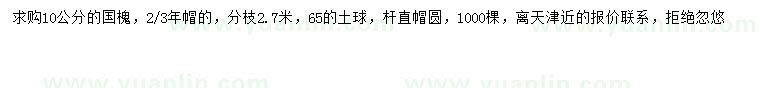 求購10公分國槐