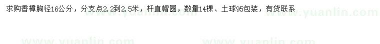 求購胸徑16公分香樟