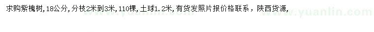 求購18公分紫槐