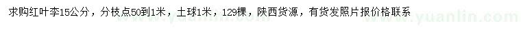 求購15公分紅葉李