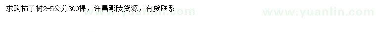 求購(gòu)2-5公分柿子樹(shù)