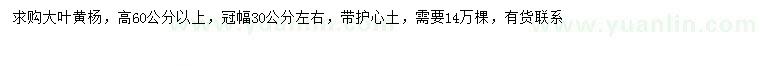 求購(gòu)高60公分以上大葉黃楊