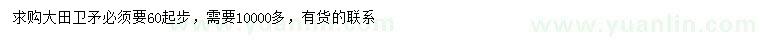 求購60公分以上衛(wèi)矛