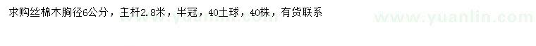 求購胸徑6公分絲棉木