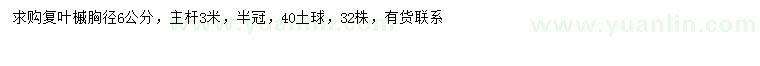 求購胸徑6公分復葉槭
