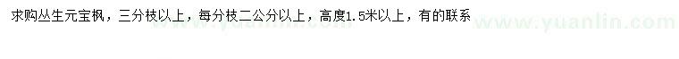 求購高1.5米以上叢生元寶楓