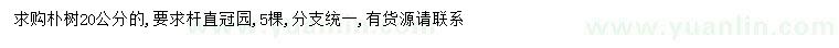 求購20公分樸樹(shù)