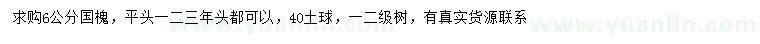 求購6公分國槐