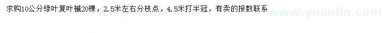 求購10公分綠葉復葉槭