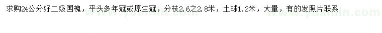 求購24公分國槐