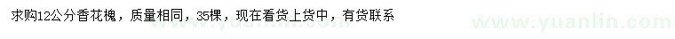 求購12公分香花槐