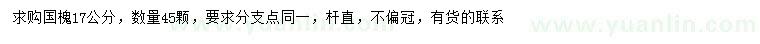 求購17公分國槐