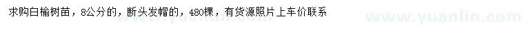 求購8公分白榆