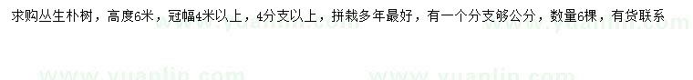 求購(gòu)冠幅4米以上叢生樸樹(shù)