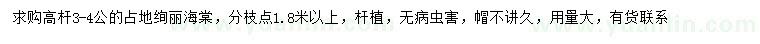 求購3-4公分絢麗海棠