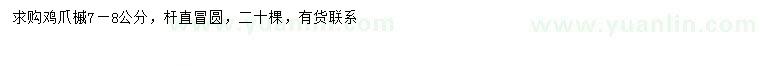 求購(gòu)7-8公分雞爪槭
