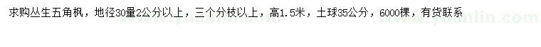 求購30量2公分以上叢生五角楓