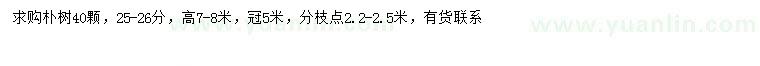 求購25-26公分樸樹