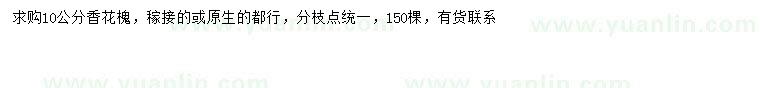 求購10公分香花槐