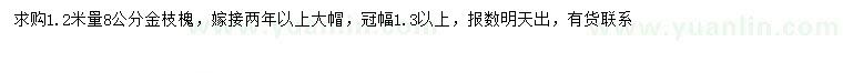 求購1.2米量8公分金枝槐