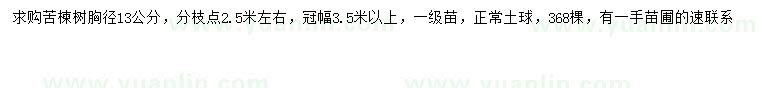 求購胸徑13公分苦楝