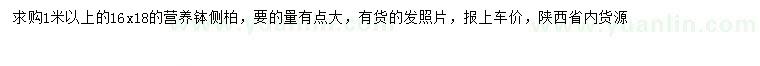 求購(gòu)1米以上側(cè)柏