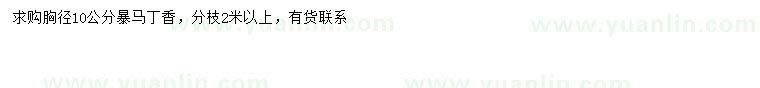 求購(gòu)胸徑10公分暴馬丁香