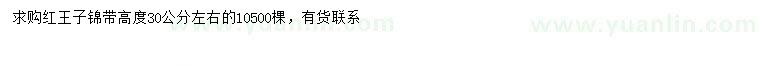 求購高30公分左右紅王子錦帶