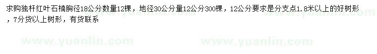 求購胸徑18公分、30量12公分紅葉石楠