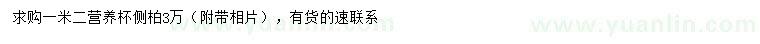 求購(gòu)1.2米側(cè)柏