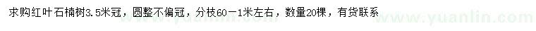 求購(gòu)冠幅3.5米紅葉石楠