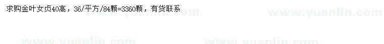 求購(gòu)高40公分金葉女貞